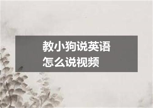 教小狗说英语怎么说视频