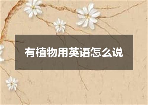 有植物用英语怎么说