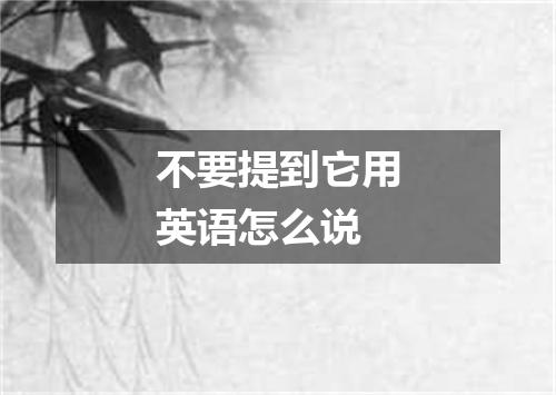 不要提到它用英语怎么说