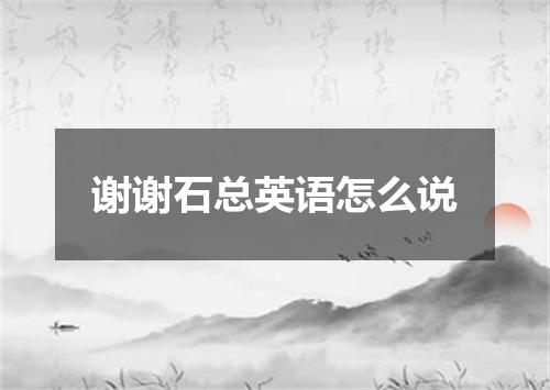 谢谢石总英语怎么说