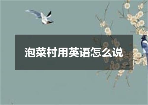 泡菜村用英语怎么说