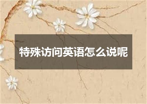 特殊访问英语怎么说呢