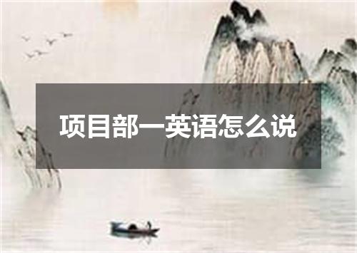 项目部一英语怎么说