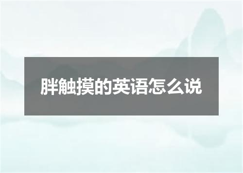 胖触摸的英语怎么说