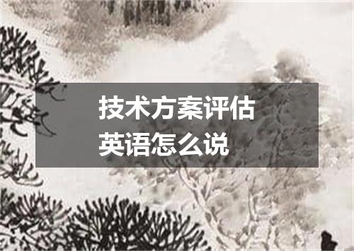 技术方案评估英语怎么说