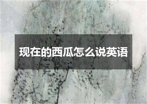 现在的西瓜怎么说英语