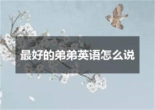 最好的弟弟英语怎么说