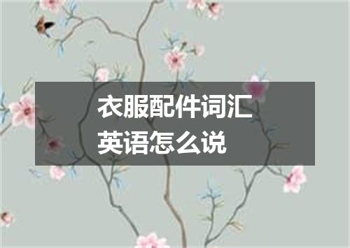 衣服配件词汇英语怎么说