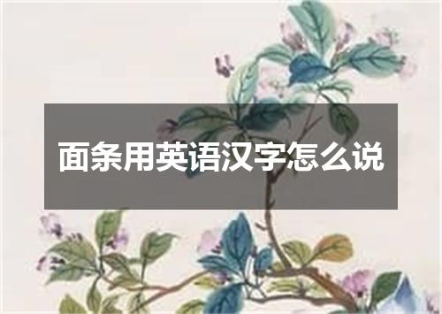 面条用英语汉字怎么说