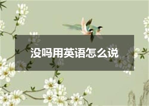 没吗用英语怎么说