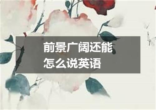 前景广阔还能怎么说英语