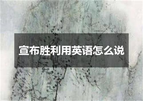 宣布胜利用英语怎么说