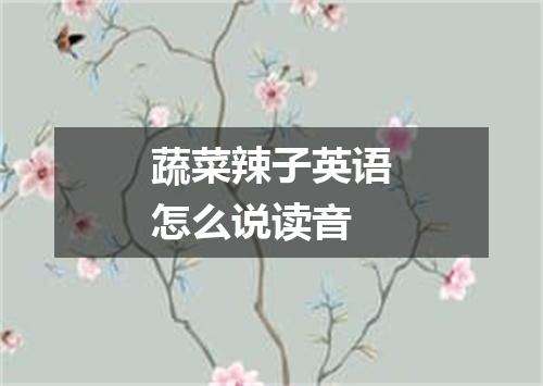 蔬菜辣子英语怎么说读音