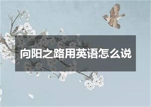 向阳之路用英语怎么说