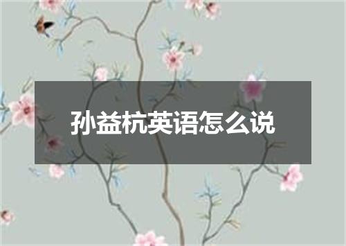 孙益杭英语怎么说