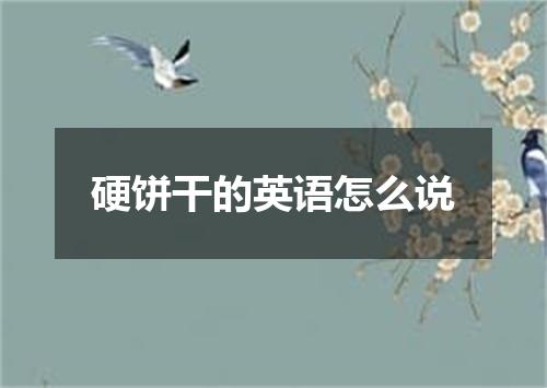 硬饼干的英语怎么说