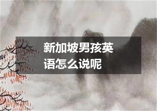 新加坡男孩英语怎么说呢