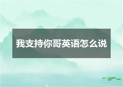 我支持你哥英语怎么说