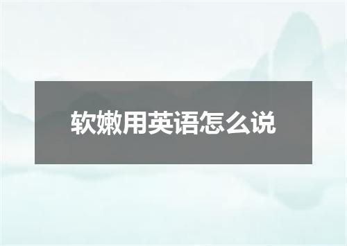 软嫩用英语怎么说