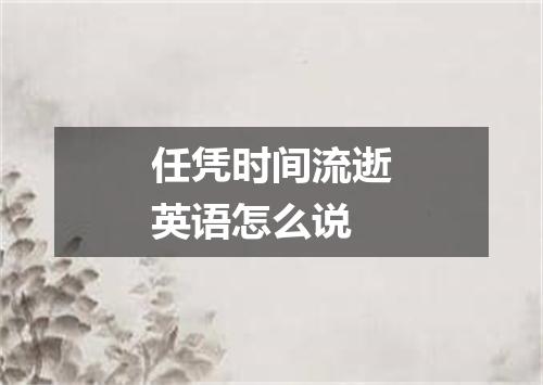 任凭时间流逝英语怎么说