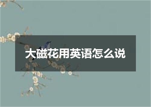 大磁花用英语怎么说