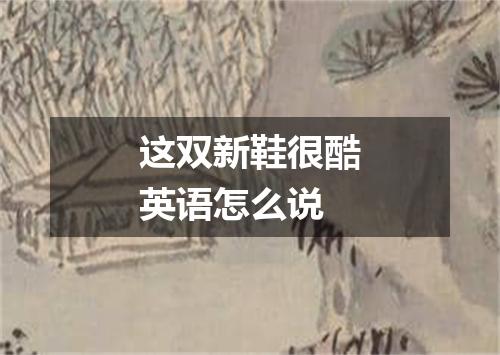 这双新鞋很酷英语怎么说