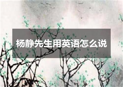 杨静先生用英语怎么说