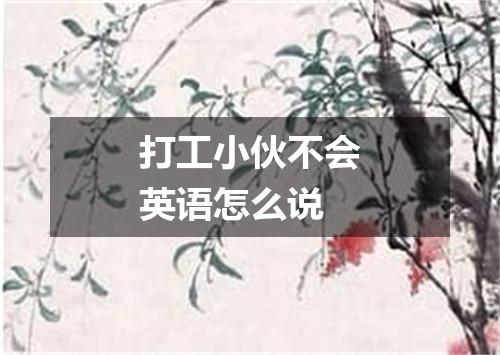 打工小伙不会英语怎么说