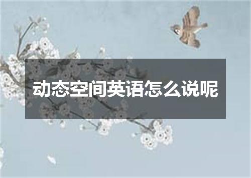 动态空间英语怎么说呢