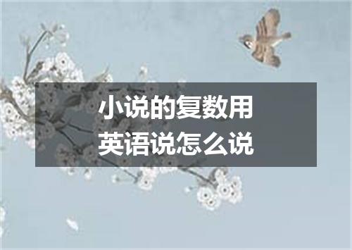 小说的复数用英语说怎么说