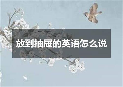 放到抽屉的英语怎么说