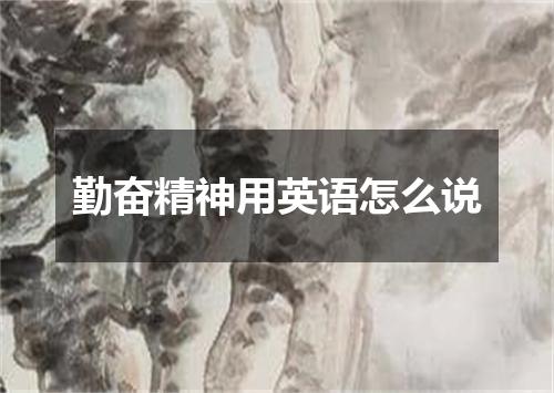 勤奋精神用英语怎么说