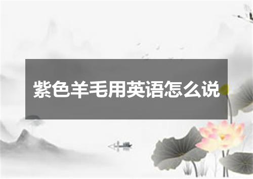 紫色羊毛用英语怎么说