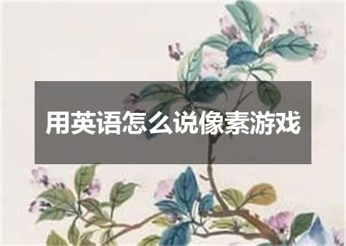 用英语怎么说像素游戏