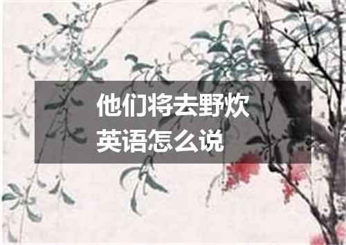 他们将去野炊英语怎么说