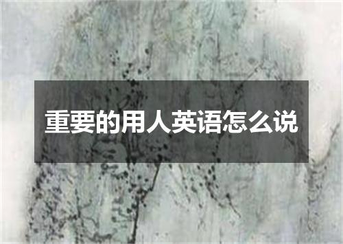 重要的用人英语怎么说
