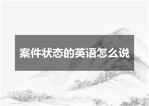 案件状态的英语怎么说