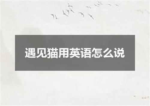 遇见猫用英语怎么说