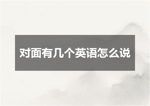 对面有几个英语怎么说