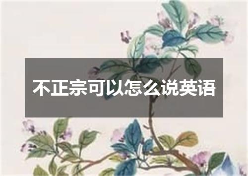 不正宗可以怎么说英语