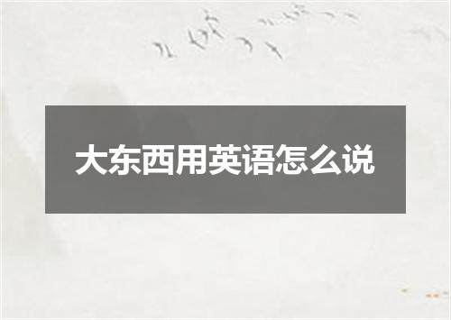 大东西用英语怎么说