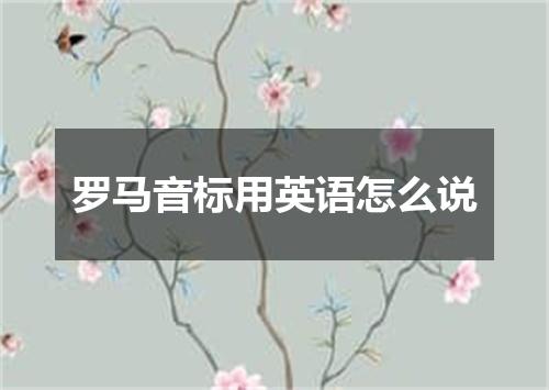 罗马音标用英语怎么说