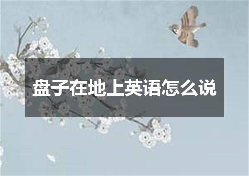 盘子在地上英语怎么说