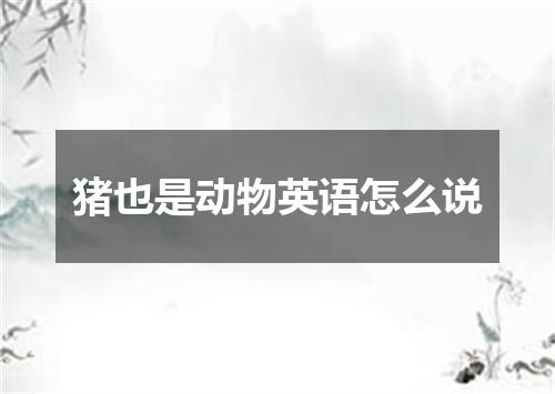 猪也是动物英语怎么说