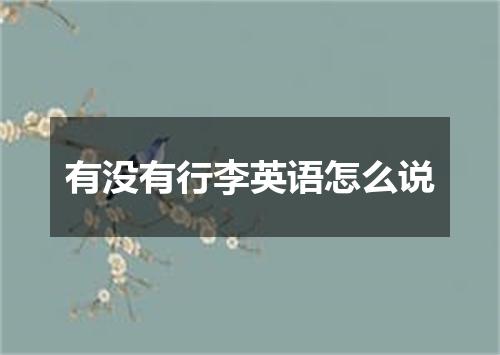 有没有行李英语怎么说