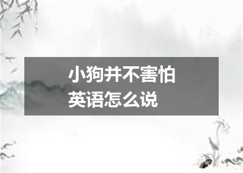 小狗并不害怕英语怎么说