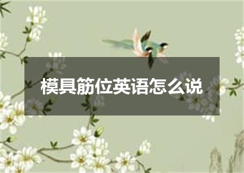模具筋位英语怎么说