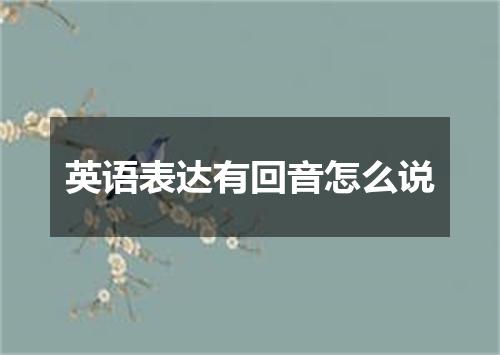 英语表达有回音怎么说