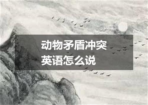 动物矛盾冲突英语怎么说