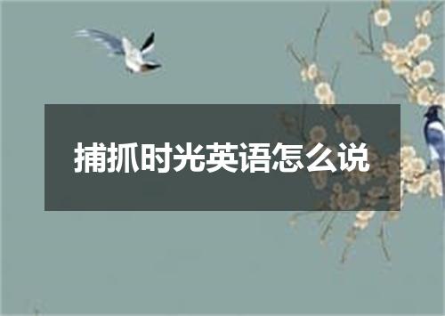 捕抓时光英语怎么说